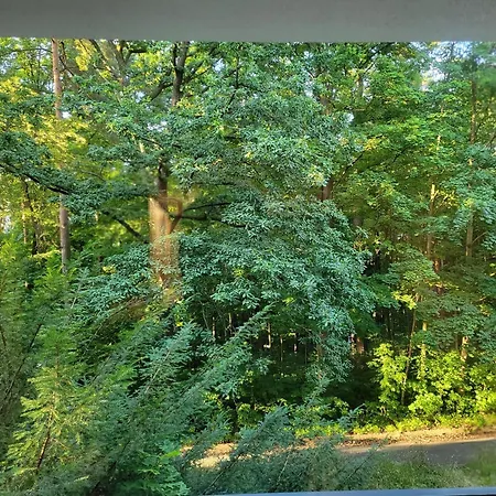 Apartment Z Sauna Cis Polanica-Zdroj