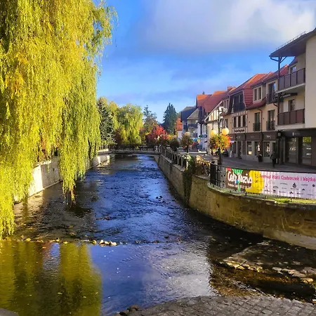 Z Sauna Cis Apartment *