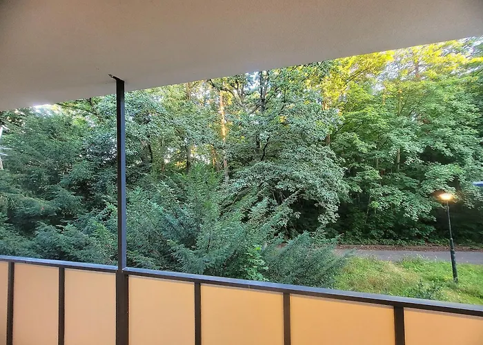 Z Sauna Cis Polanica-Zdrój