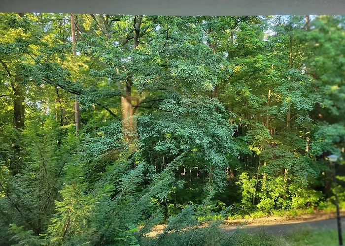 Apartman Z Sauna Cis Polanica-Zdrój